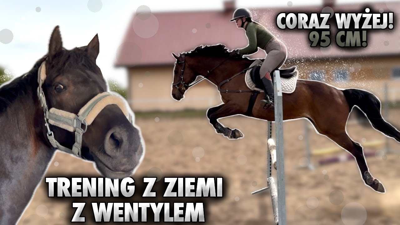 MISTRZOWSKI TRENING! JAKIE PLANY NA STARTY? PARKURY OTWARTE? | VLOG #341