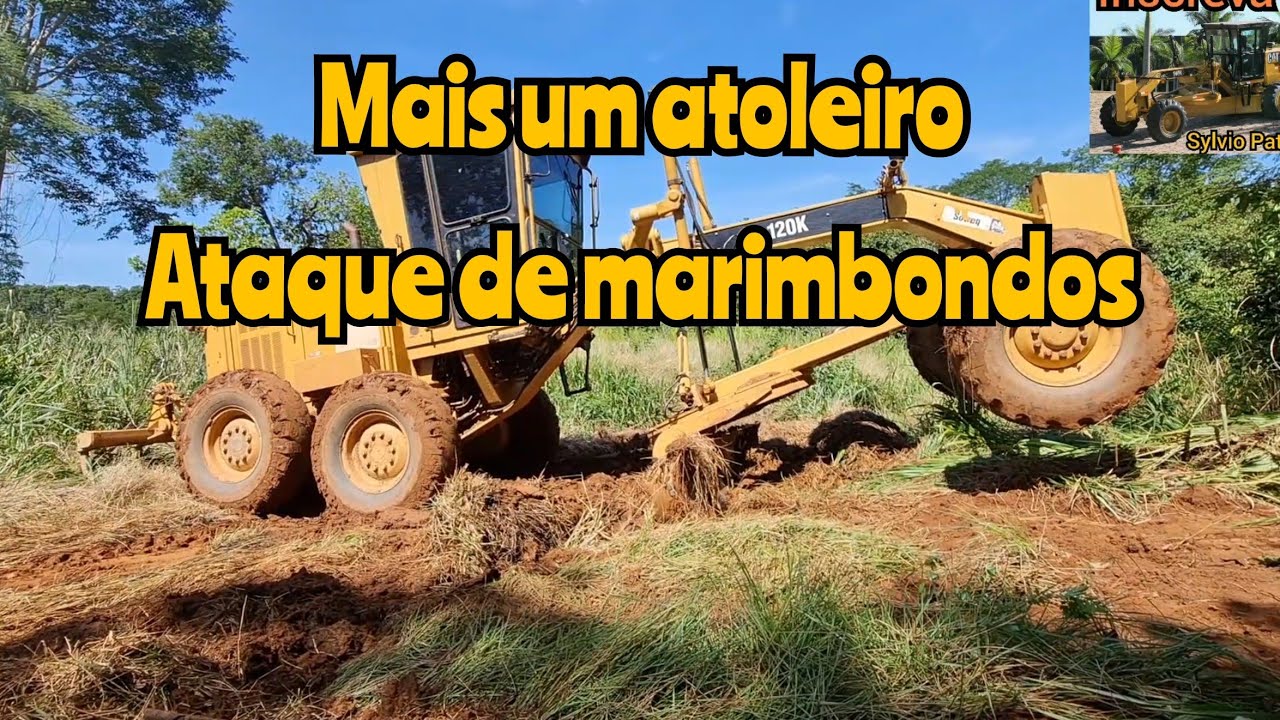 Marimbondos atacaram (Vespas) /Motoniveladora Caterpillar 120K grader niveleuse motoconformadora