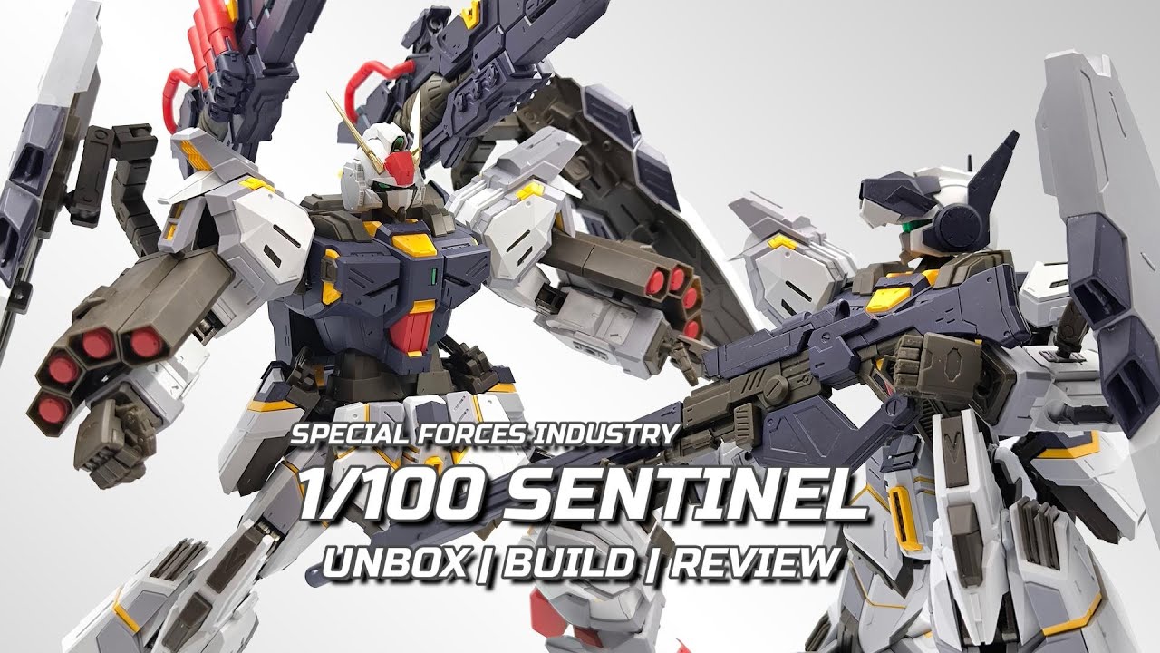 [REVIEW]SPECIAL FORCES INDUSTRY - 1/100 SENTINEL