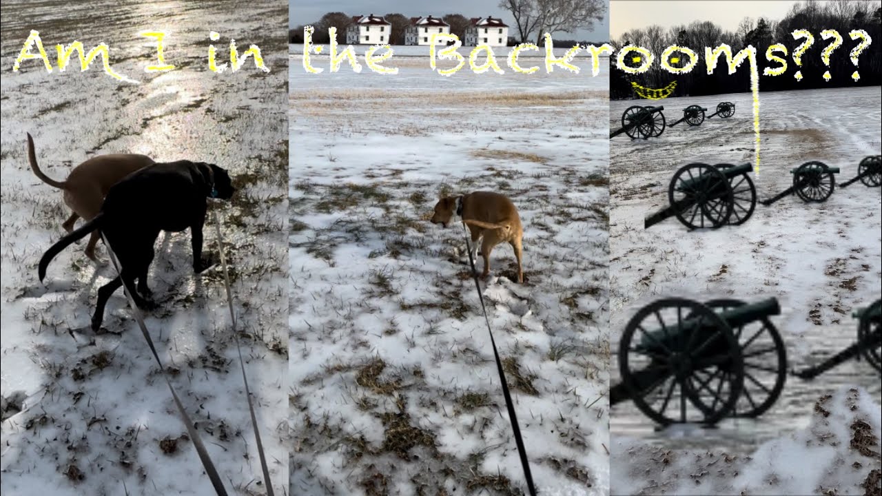 Walking the Dogs. Backrooms but in real live - eternal fields of ice 🧊 2/7/26