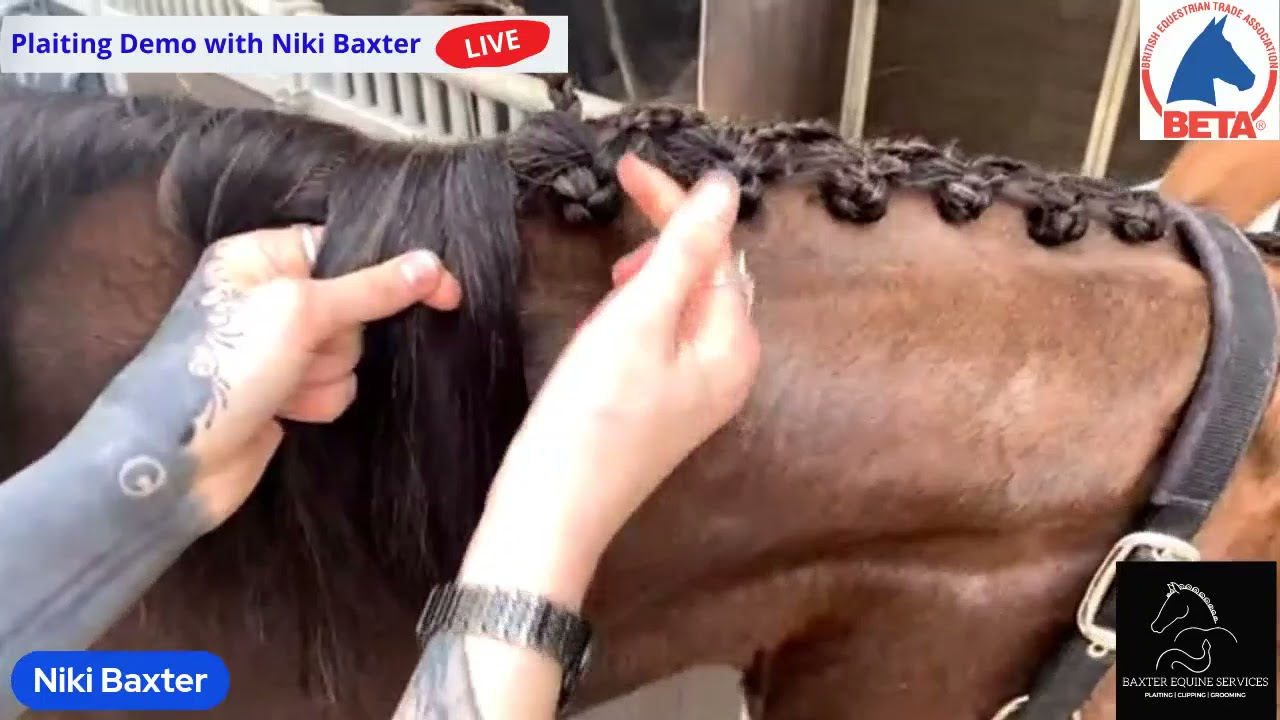 Plaiting Demo with Niki Baxter hosted by BETA