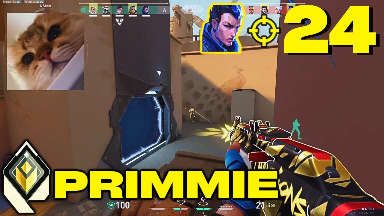 HE&rsquo;S BACK!! - FS Primmie [APAC] #TeamMVP