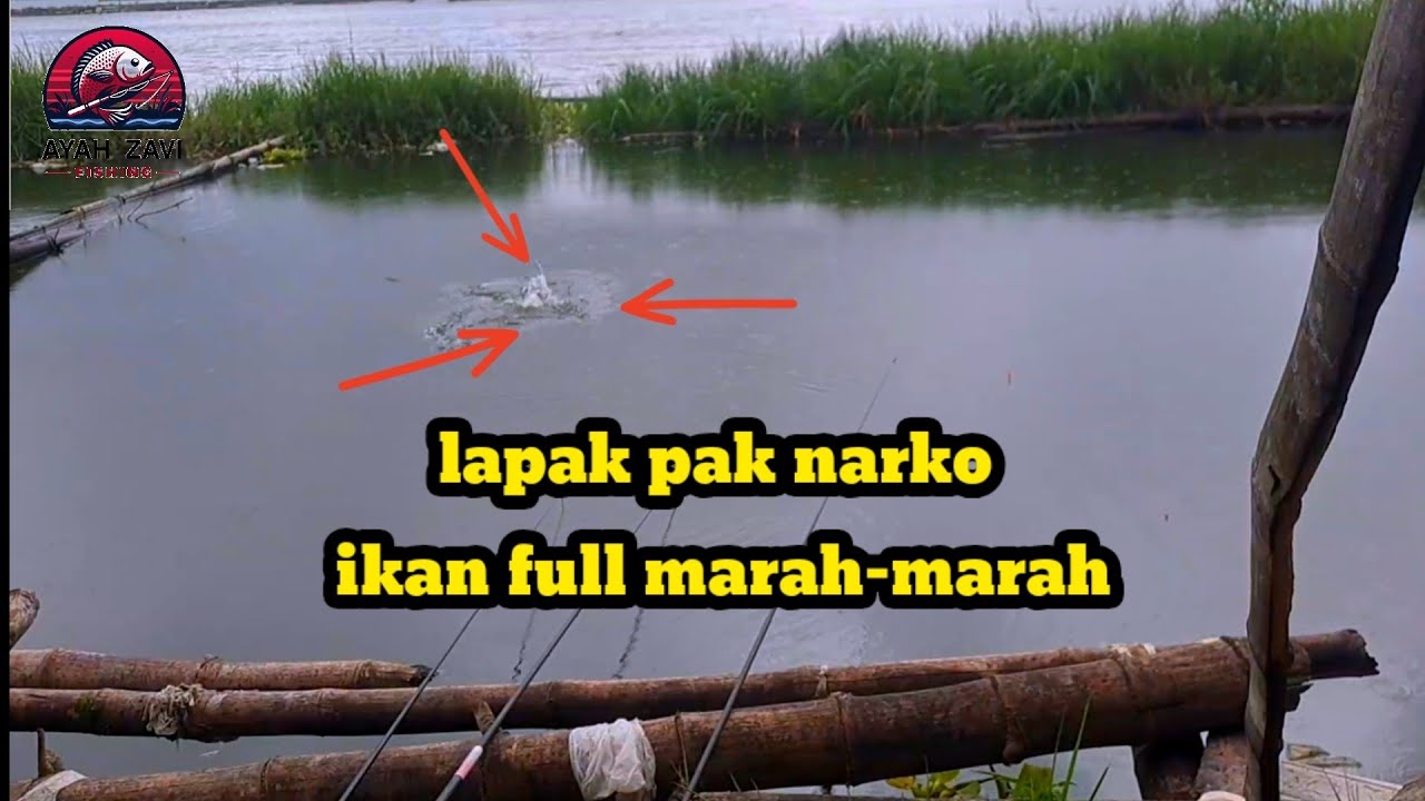 ​lapak bawah jurang toleh tidak pernah bikin kecewa | bonklopo