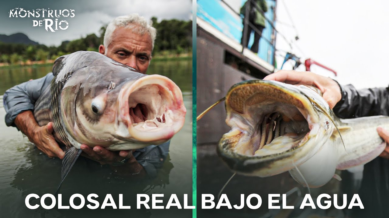 El Pez Más Grande Y Aterrador De La Naturaleza | Monstruos de Río