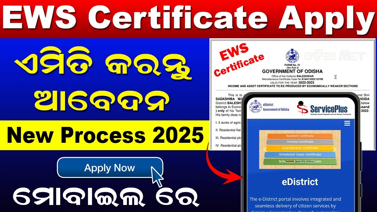 EWS Certificate Apply Online Odisha 2025 | How To Apply EWS Certificate Online 2025 | EWS Documents