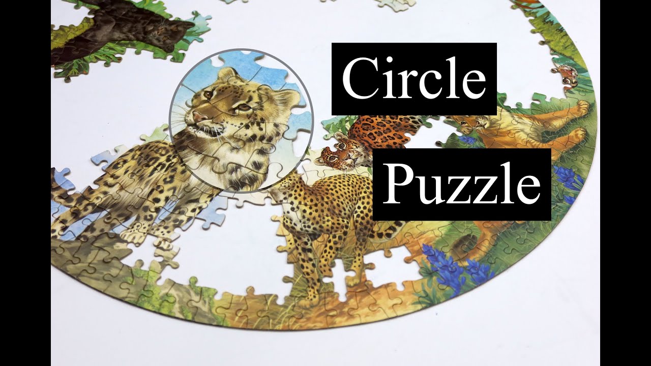 My First Circle Jigsaw Puzzle - Big Cats from Waddingtons