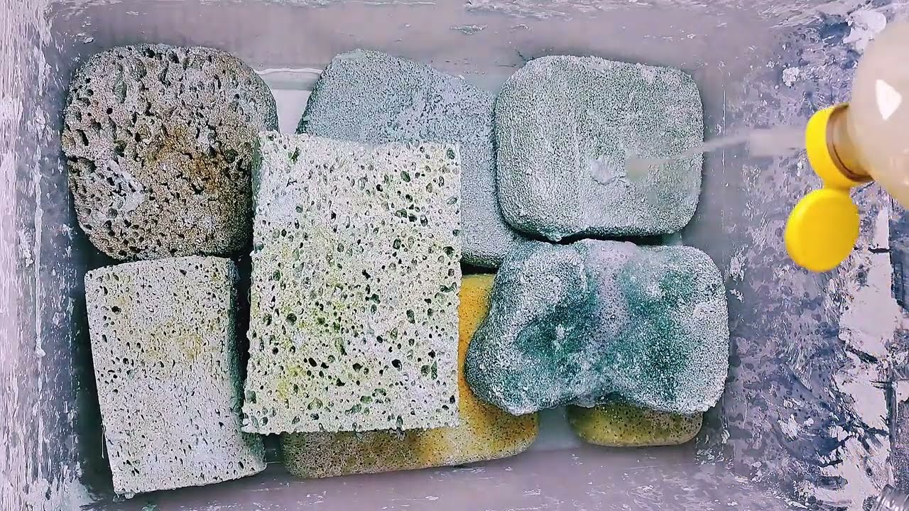 asmr paste adventure piney rinse sponge squeeze
