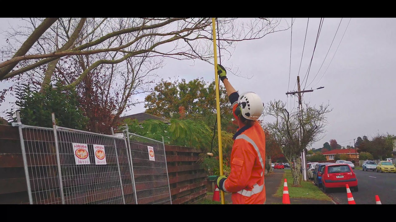 Powerlines