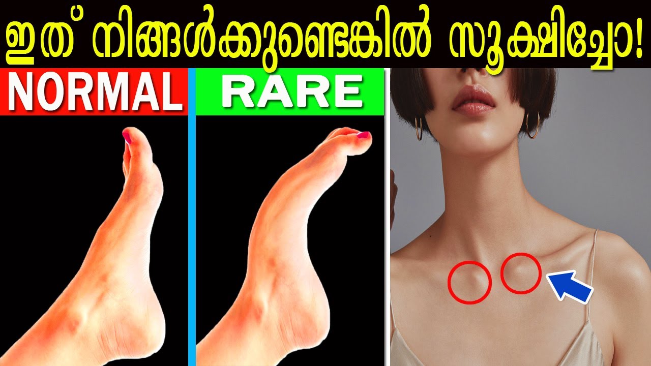 മനുഷ്യ ശരീരത്തിലെ നർമ്മ ബോധമുള്ള അസ്ഥിയും,നിറങ്ങളെ കേൾക്കാൻ കഴിയുന്ന ആളുകളും|അമ്പരപ്പിക്കുന്ന Body