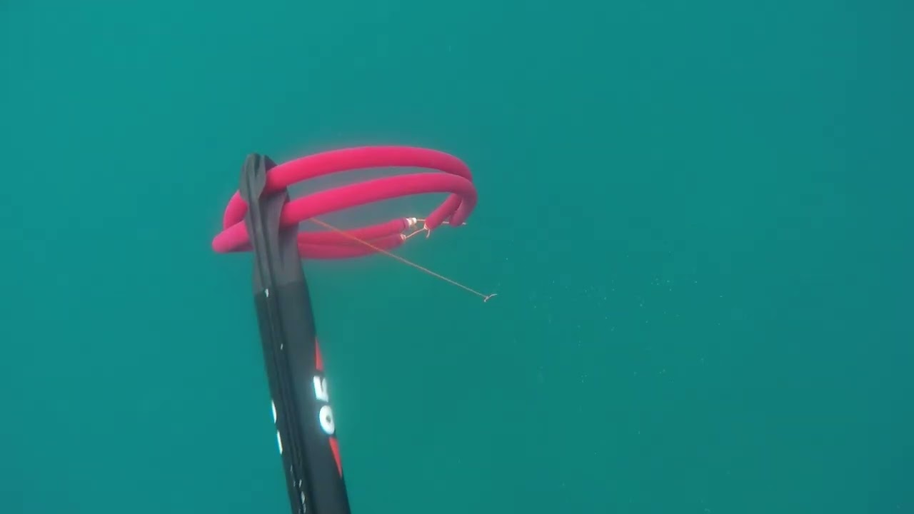 pesca mercoledi 2 3 2026