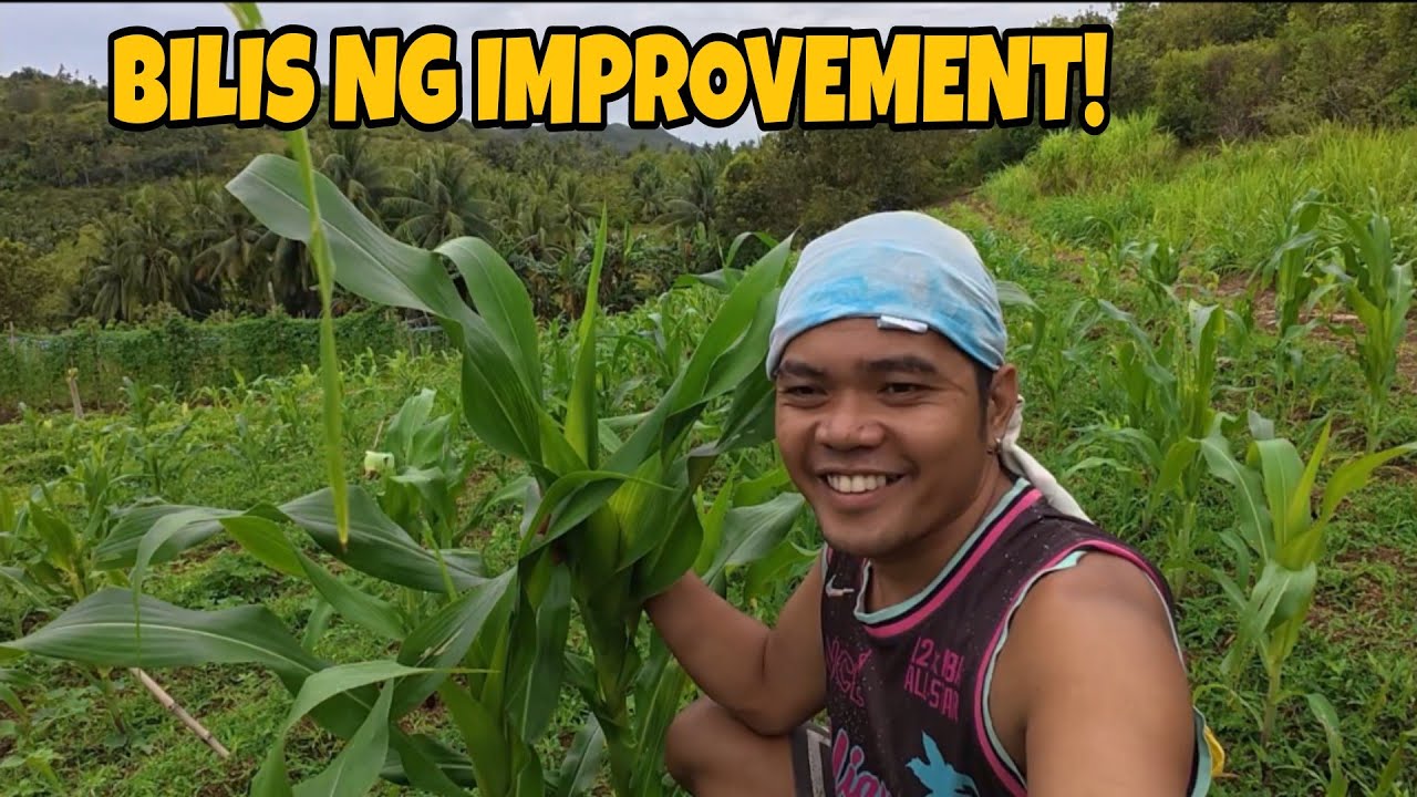 IBA TALAGA PAGNAKATIKIM NG ULAN!@burdzjason2097 