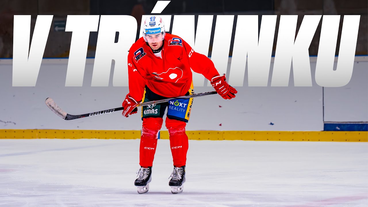 V TRÉNINKU | Reprezentační pauza 🦁