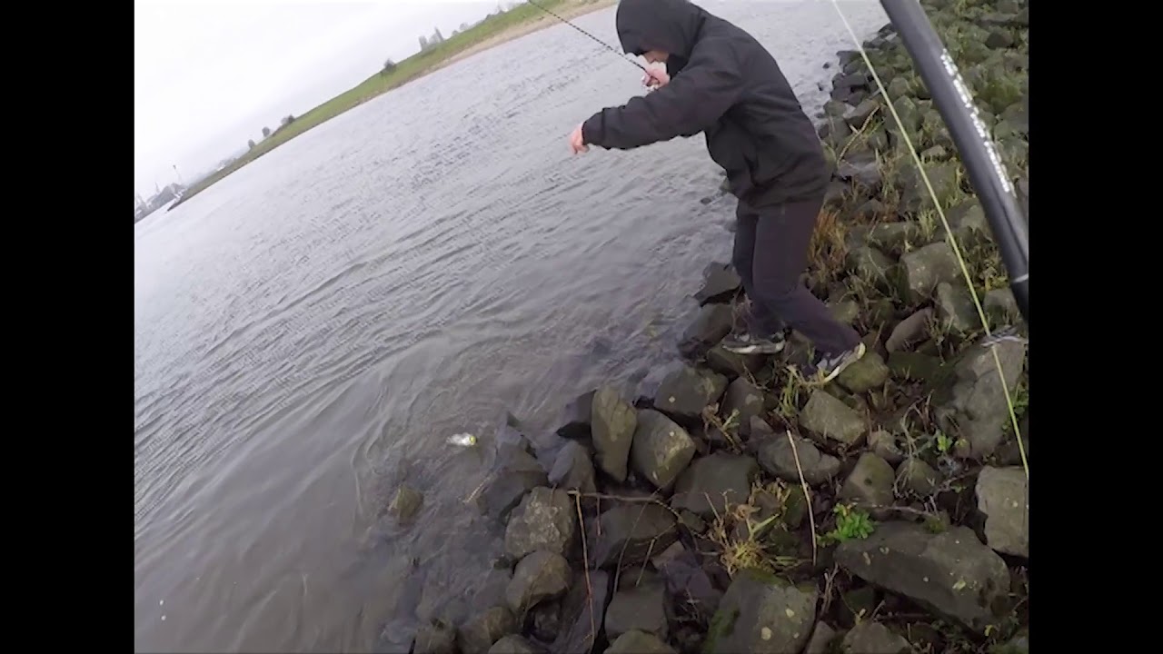 Wędkarska Życi&oacute;wka #1 - Smocze Eldorado | Rzeka Dolny Ren