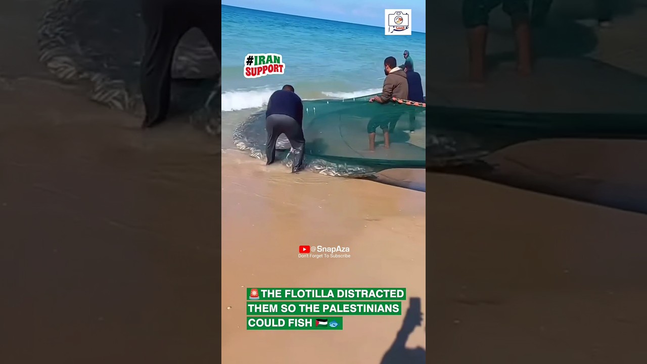 Palestine🇵🇸 People get Fish🐟 Flotilla Distracted them #palestine #flotilla #gaza #viral #trending