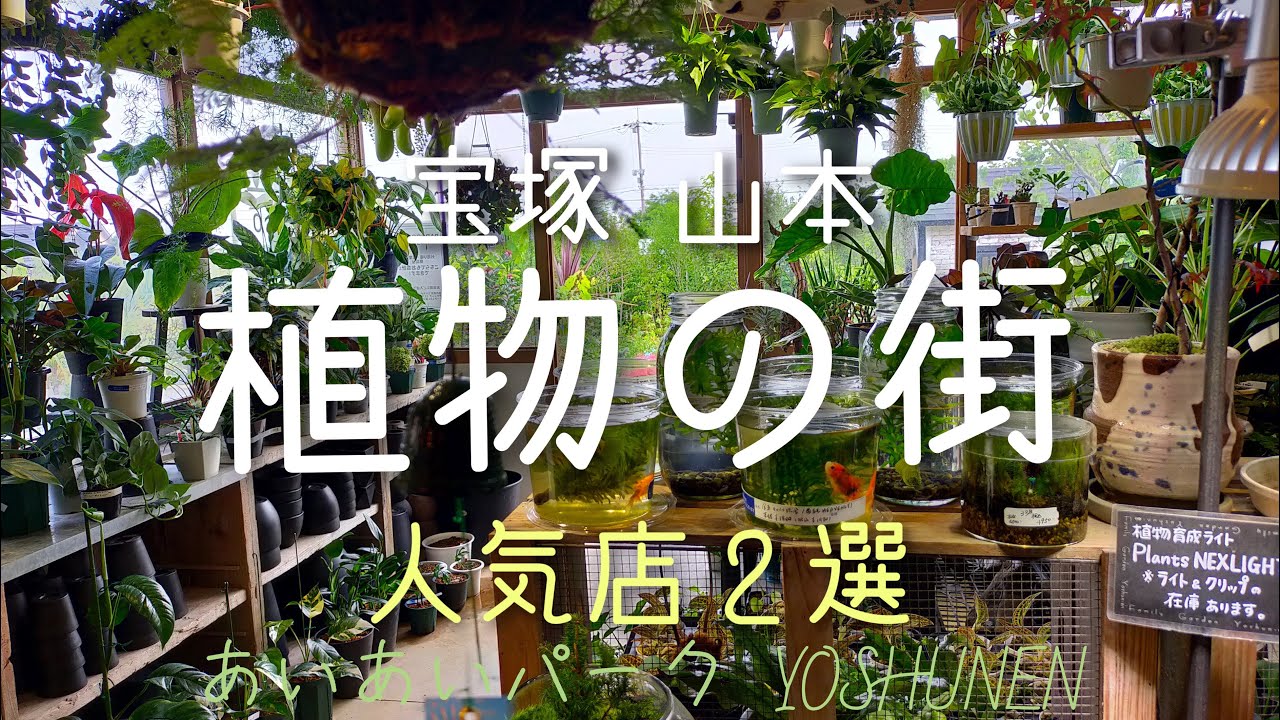 ［兵庫］宝塚 山本【人気の植物ショップ】2選‼︎ オシャレなカフェも！？〈あいあいパーク〉＆〈陽春園〉〈パルコジョキ〉