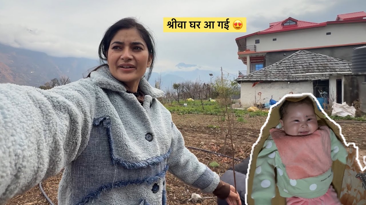 Aaj Bhayankar Thand Me Persimmon Ke Plants Lga Diye 🥶