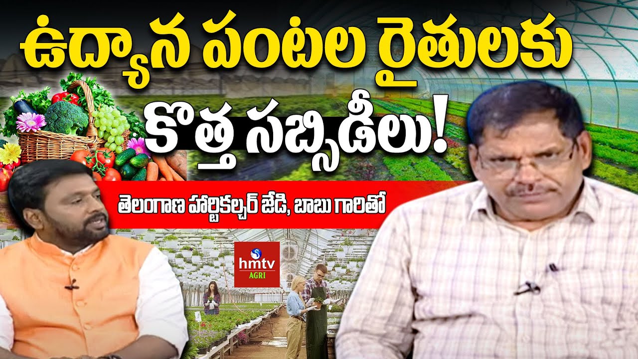 ఉద్యాన పంటల రైతులకు కొత్త ప్రభుత్వ సబ్సిడీల ప్రకటన! | Horticulture Subsidy Scheme 2025 | #hmtvagri