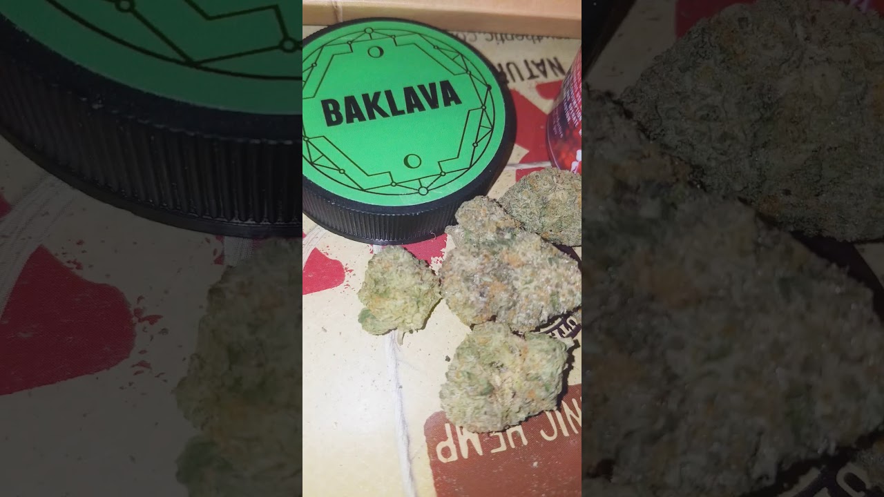 🥮🥮🥮🍦🍦🍦 ALIEN LABS BAKLAVA STRAIN 🔥🔥🔥🔥🔥🔥