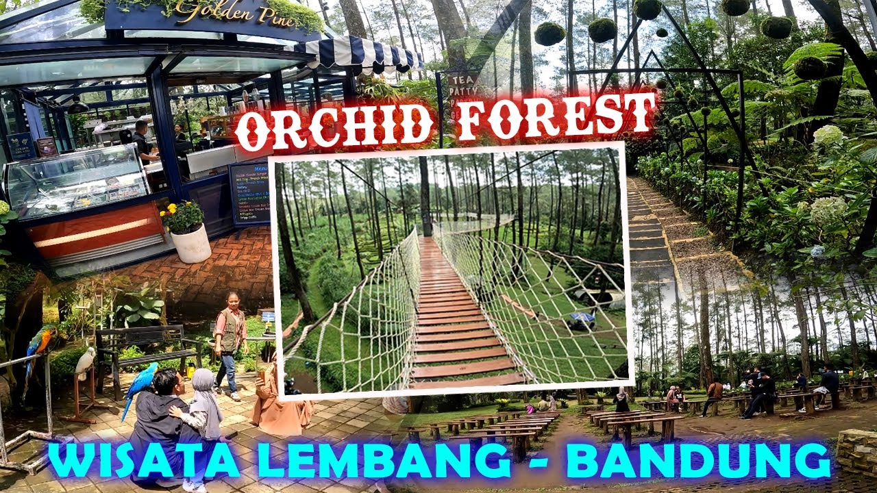 ORCHID FOREST LEMBANG BANDUNG | TEMPAT WISATA PALING TERKENAL DI KOTA BANDUNG
