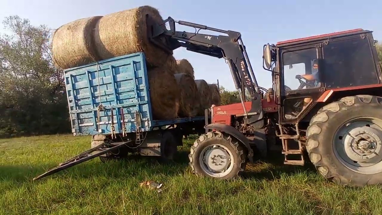 B&Aacute;LA PAKOL&Aacute;S &Eacute;S HORD&Aacute;S. Első vide&oacute;nak meg teszi!