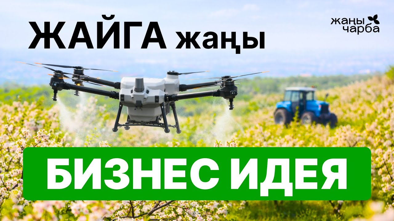 ЗАМАНБАП БИЗНЕС ИДЕЯ | Дрона против Трактора | Жаңы Чарба