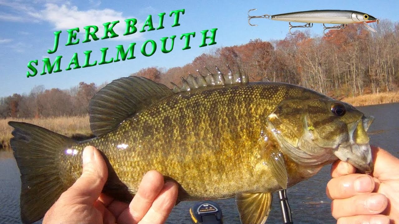 November Jerkbait Smallmouth, Largemouth and Pike too.