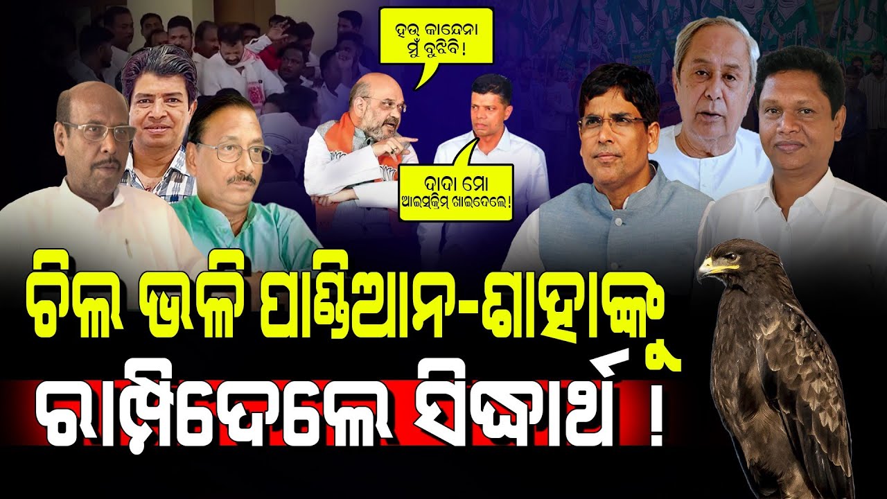 ଚିଲ ଭଳି ପାଣ୍ଡିଆନ୍-ଶାହାଙ୍କୁ ରାମ୍ପିଦେଲେ ସିଦ୍ଧାର୍ଥ! / Sidharth Routray Exposed VK Pandian & Amit Saha!