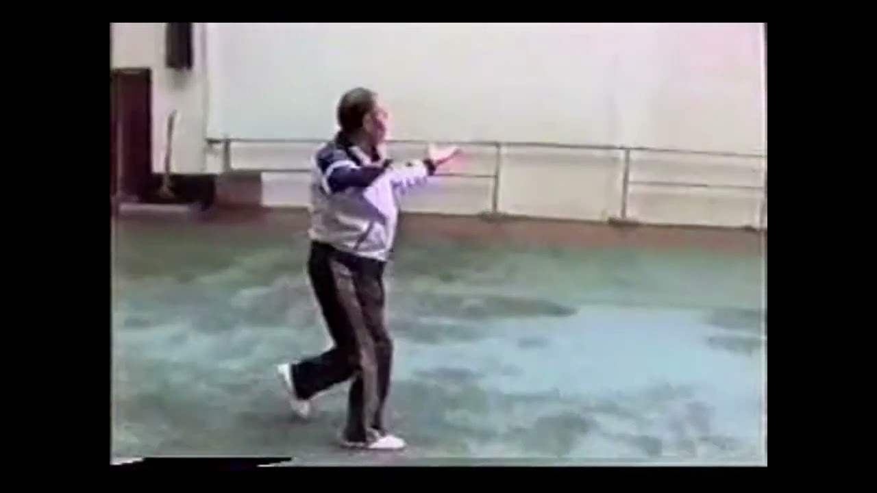 Bagua of the Sha Guozheng lineage
