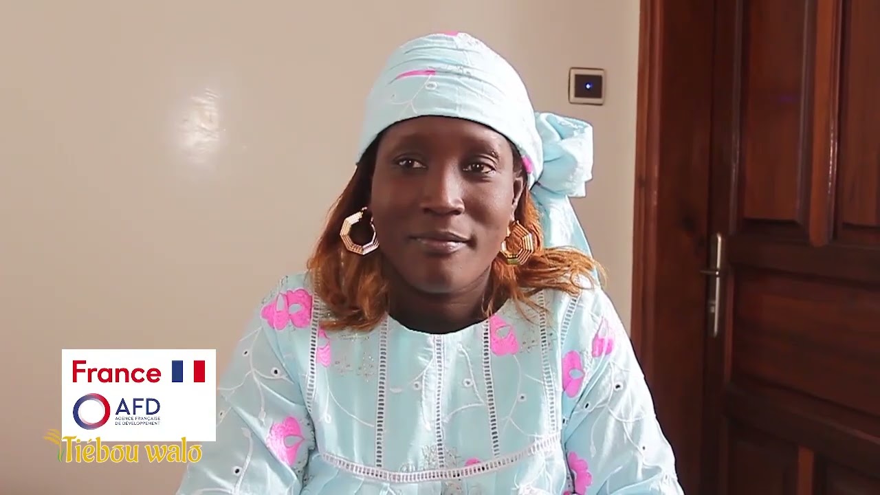 SAED || THIEBOU WALO 4 