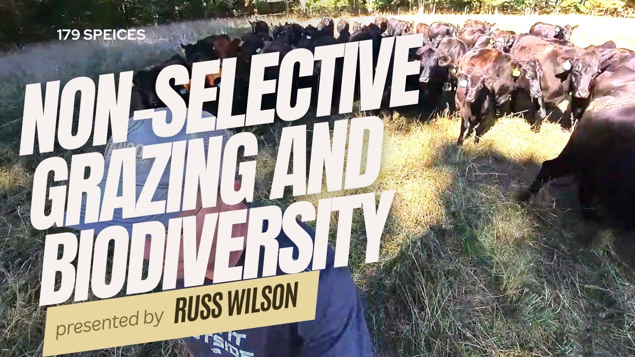 Non- Selective Grazing and Biodiversity W/Drone Livestock eat weeds