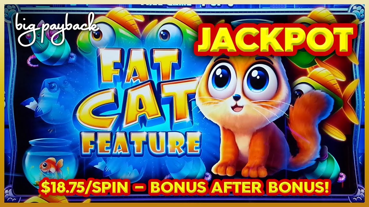 JACKPOT HANDPAY! Fat Fortunes Fat Cat Slot - AWESOME SESSION!