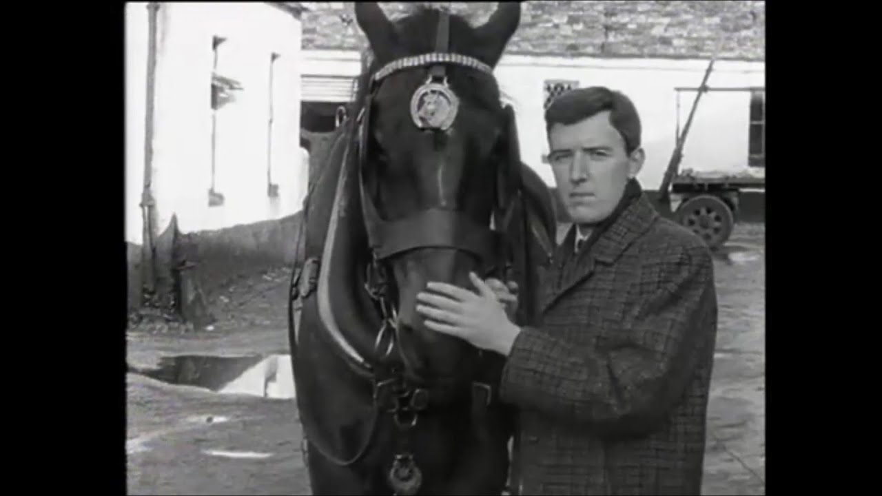 The End of The Irish Work Horse? Co. Cork 1967