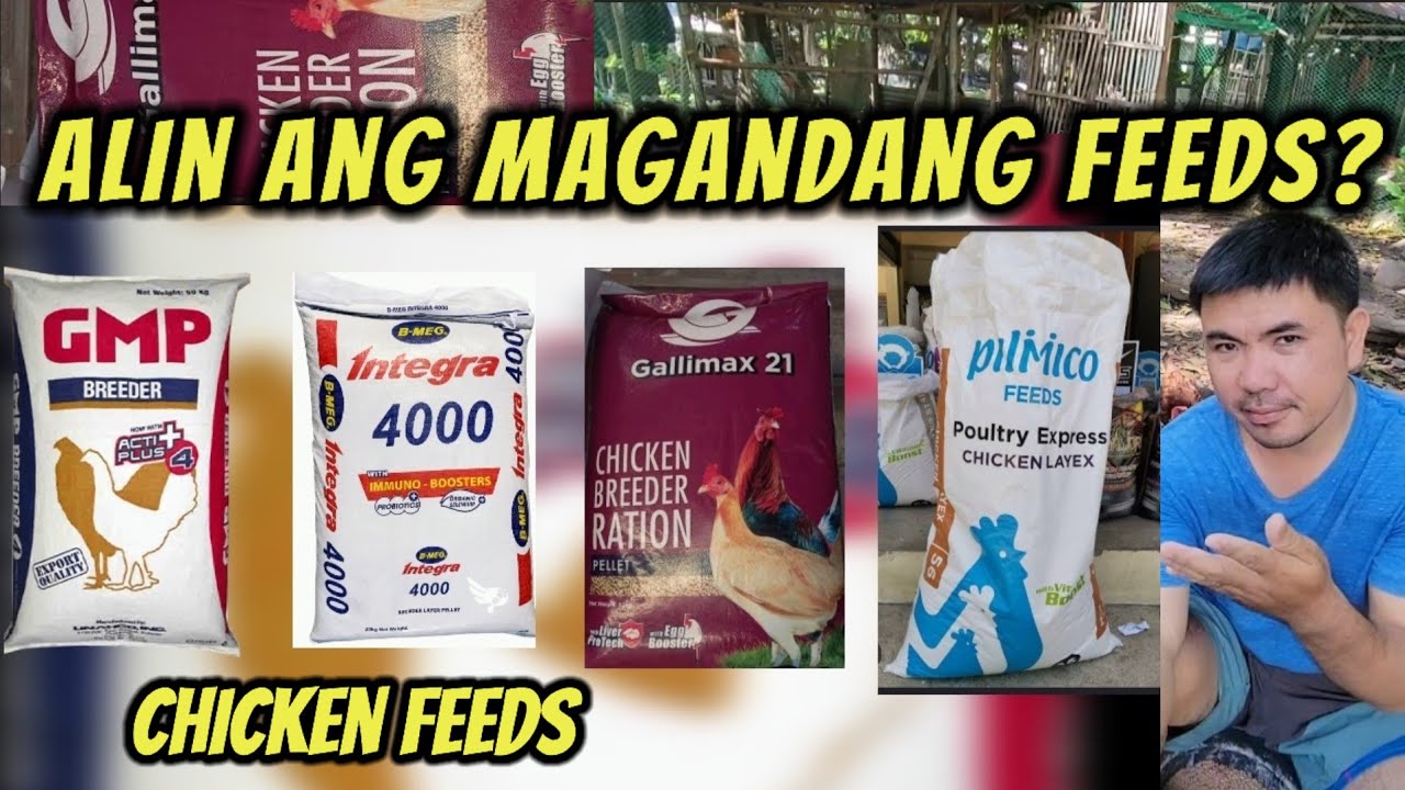 Ano ang magandang gamitin feeds? Ano ang gamit ko na feeds?