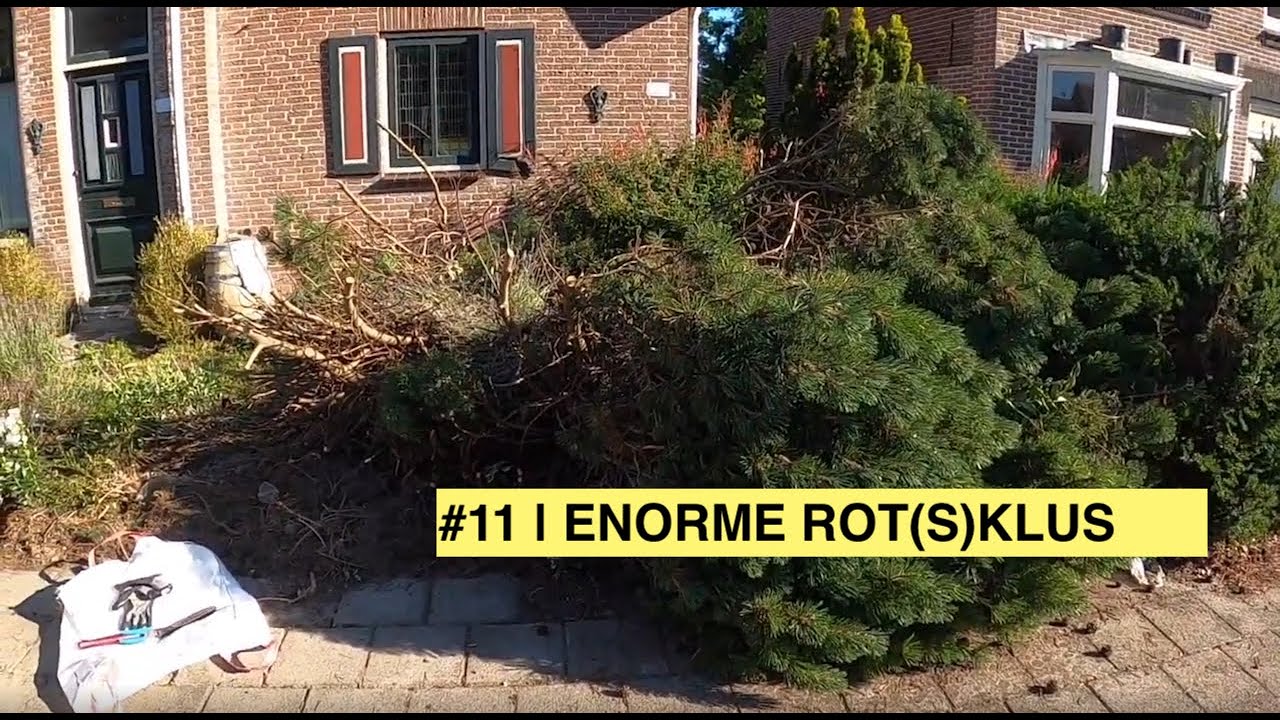 ENORME ROT(S)KLUS.. | KLUSVROUW #11 |