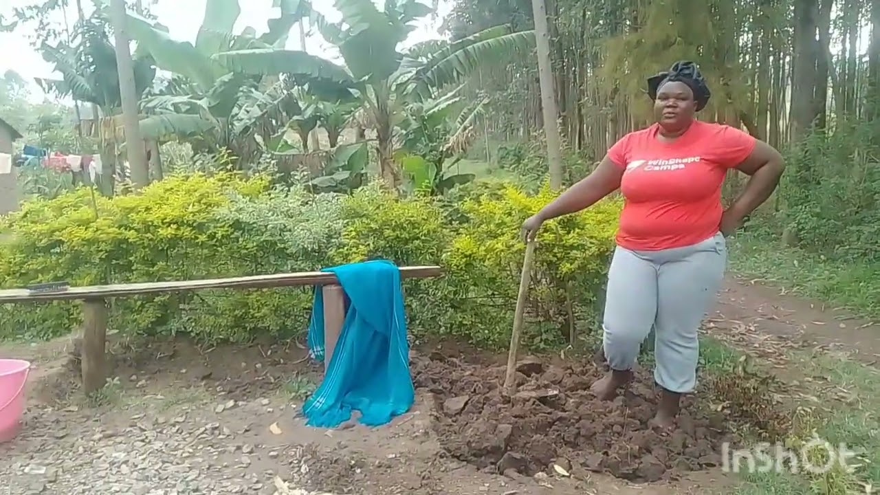 Life of a villager/harvesting/ work 
