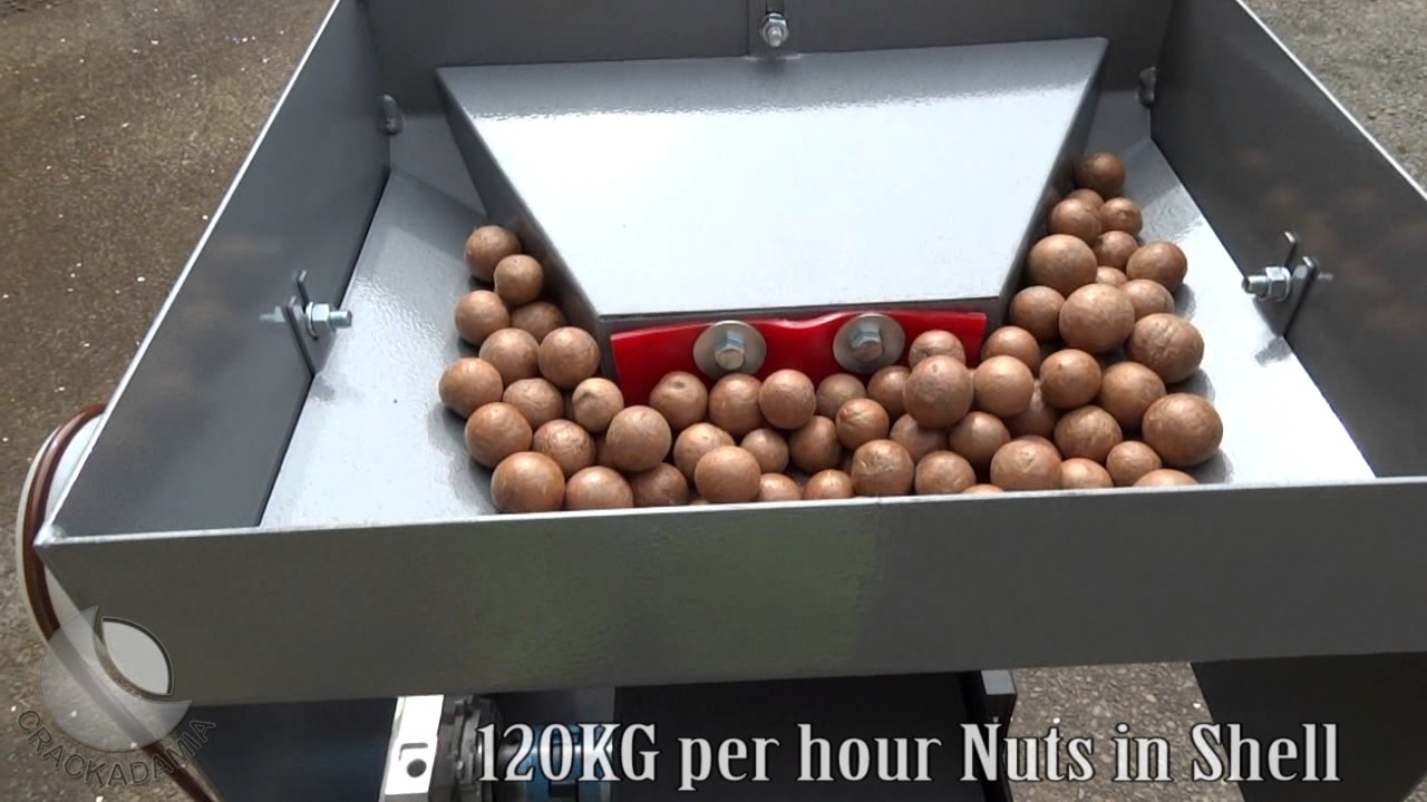 CRACKADAMIA Twin Cracker - Macadamia Nut Cracker