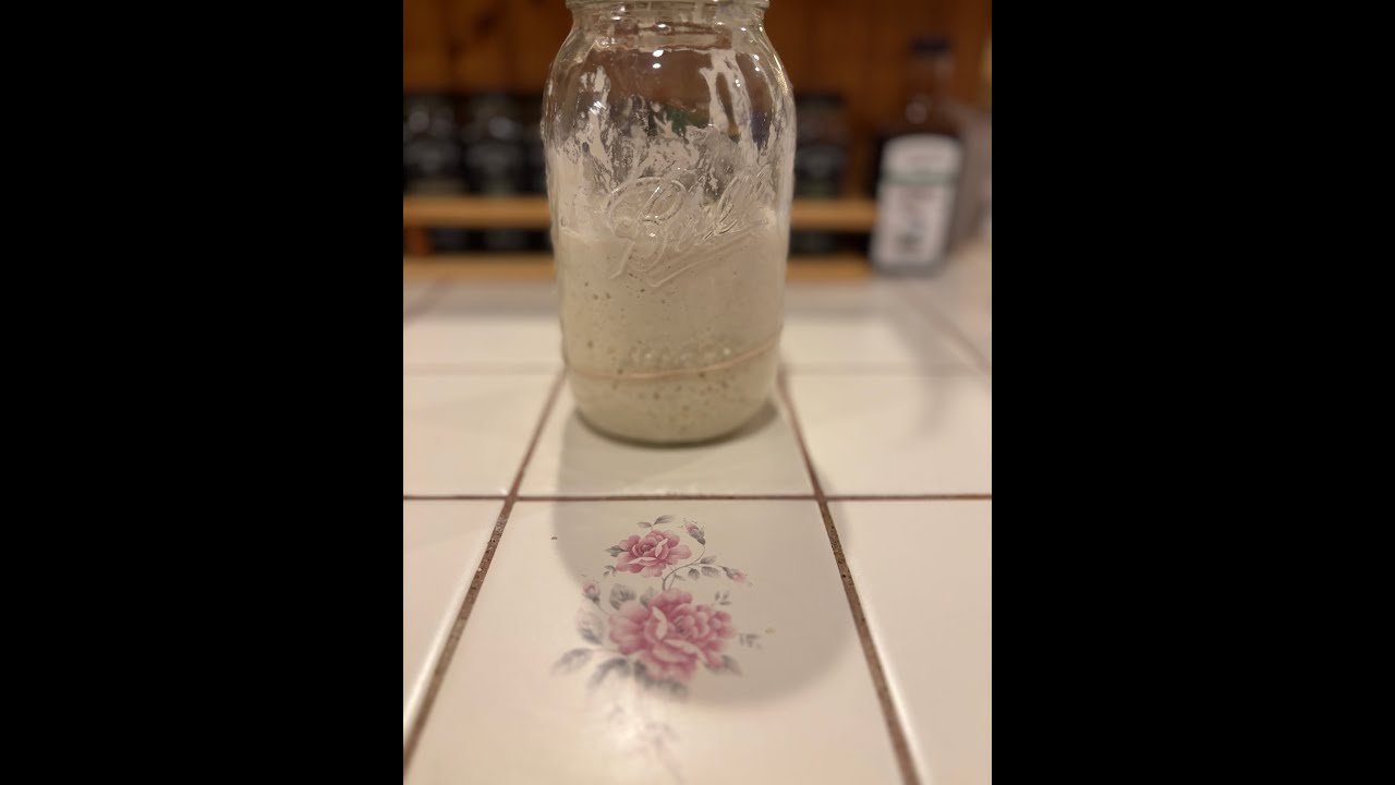 Simple and Easy Sourdough Bread Recipe in a Cuisinart CBK 110 -  Part 2
