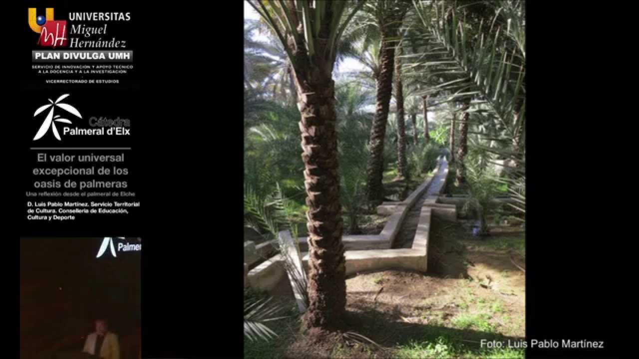 EL VALOR UNIVERSAL EXCEPCIONAL DE LOS OASIS DE PALMERAS