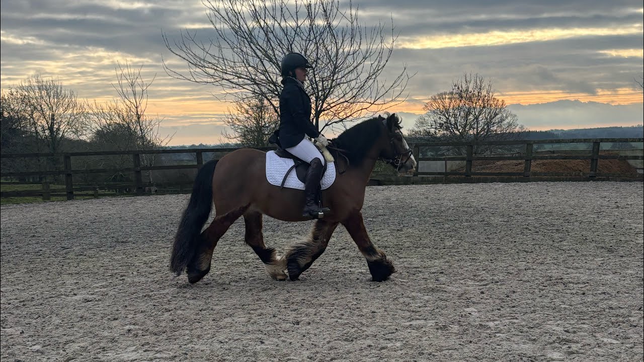 Show prep/competition day