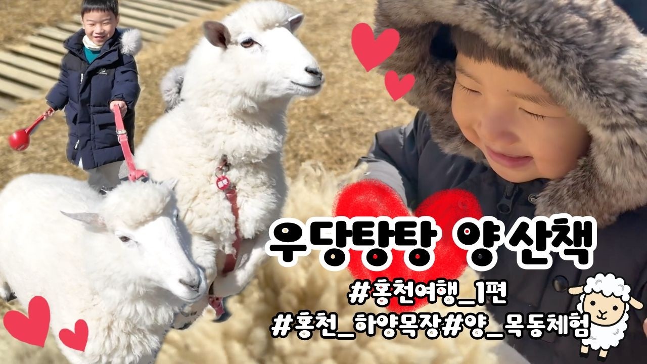 양이랑 산책 해 본 사람? / 난이도 극상⭐️⭐️⭐️⭐️⭐️ / 홍천여행 Vlog 1편
