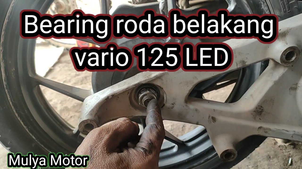 Ganti bearing roda belakang Vario 125 LED