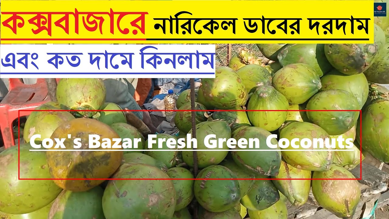 Cox's Bazar Fresh Green Coconuts | কক্সবাজারে নারিকেল ডাবের দরদাম এবং কত দামে কিনলাম