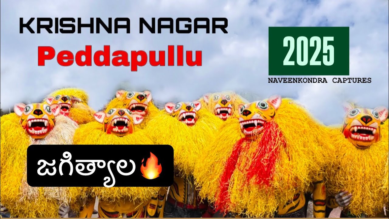 Krishna Nagar Peddapulla Hawa || Jagtial || 2025 #jagtial #trending #shorts #dance #tiger #video