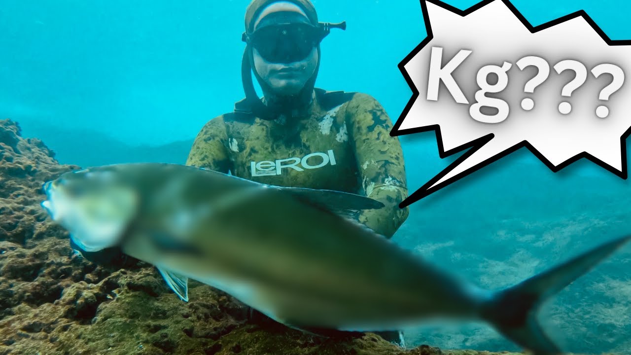 RARE Catch! Greek Waters' Most Elusive Fish Revealed