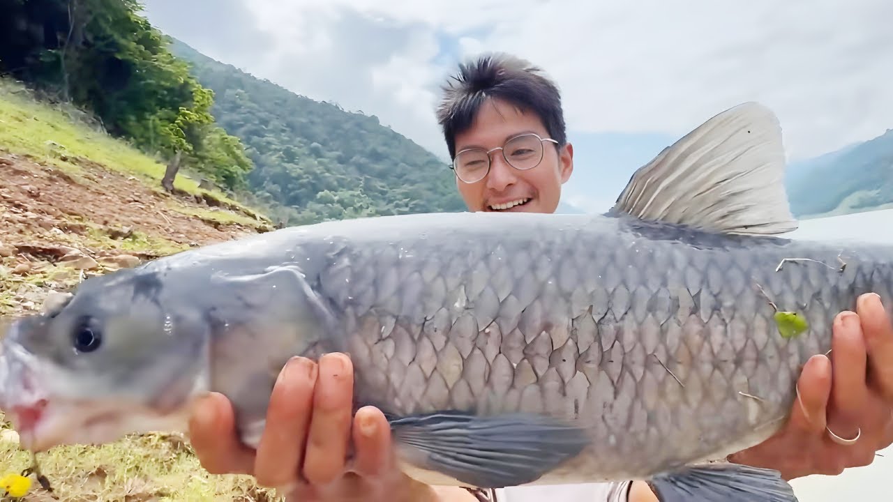 探钓水库垂钓巨物！黄金钓位真是给力，连续几天上货，今天更是钓上千斤大青鱼！【小宋野钓】