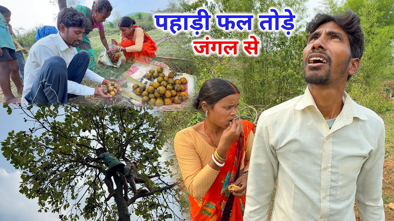 पहाड़ी फल तोड़े जंगल से | इतना सारा मिल गया | Pahadi Traditional Food