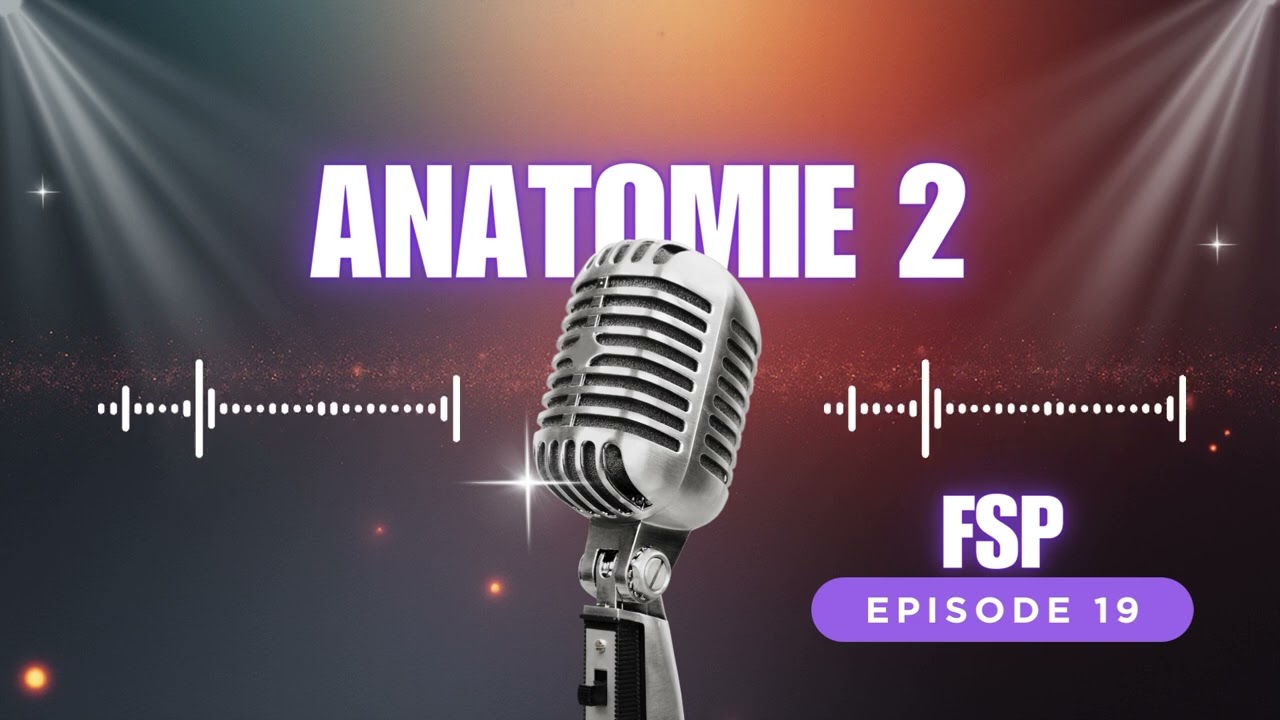19- Zahnmedizinische Anatomie verstehen!  Perfekt für FSP Zahnmedizin Fachsprachprüfung