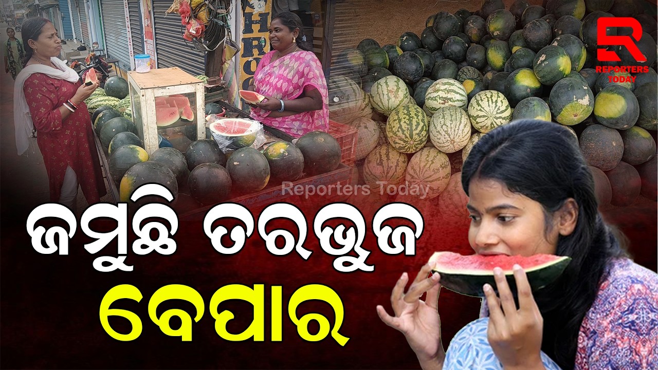 ପାରଳାଖେମୁଣ୍ଡିରେ ଜମୁଛି ତରଭୁଜ ବେପାର || Watermelon Business In Gajpati || Reporters Roday