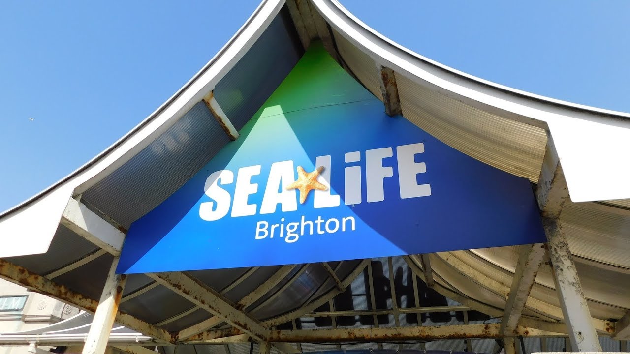 Sea Life, Brighton! (2019)