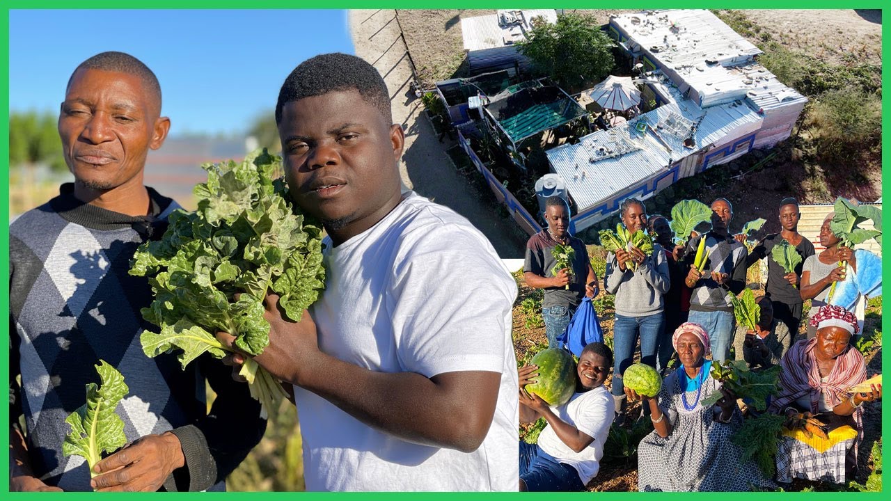How A Namibian Built A Full Automated House From Scraps & Farms In Rocks!